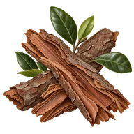 Pygeum africanum kabuğu ekstresi — içerik illüstrasyonu
